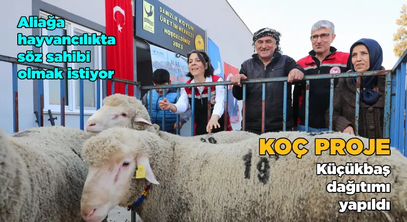 Aliağa hayvancılıkta da söz sahibi olmak istiyor