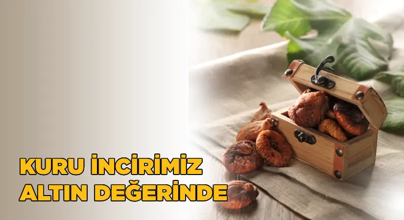 Kuru incirimiz altın değerinde