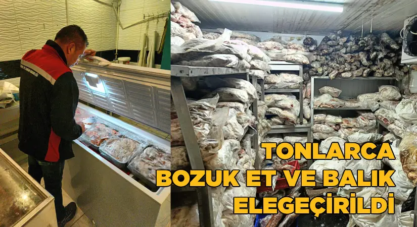 Tonlarca Kaçak ve Bozuk Et ile Balık Ele Geçirildi