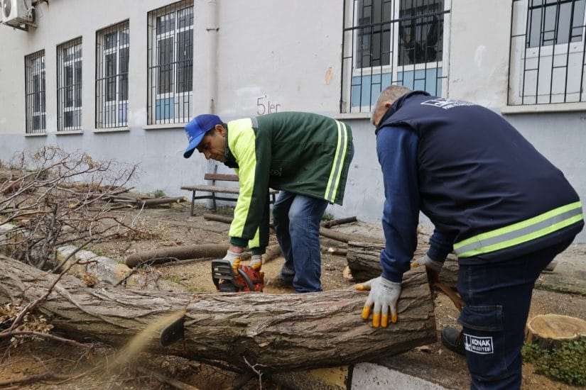 Konak’ta budanan ağaçlardan 2 ayda 350 haneye odun desteği