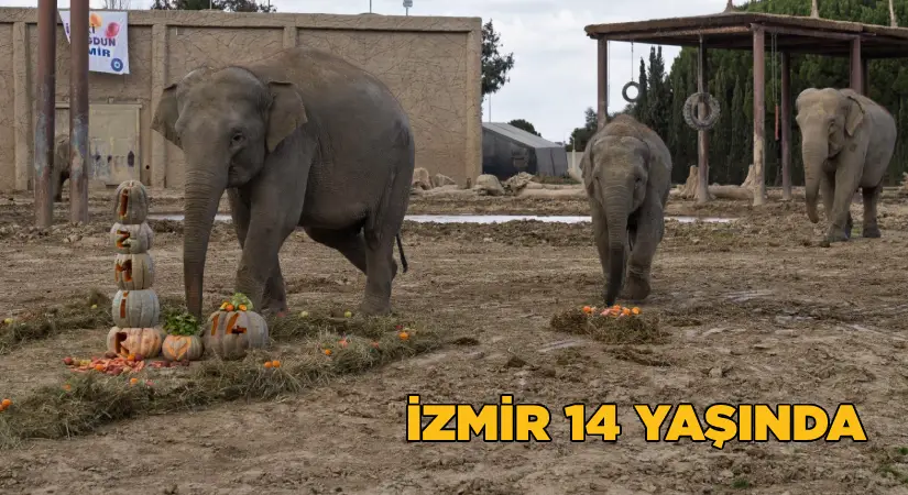 İzmir 14 yaşında