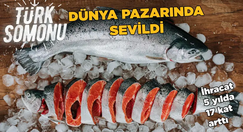 Türk somonu ihracatı 5 yılda 17 kat arttı