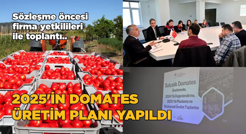 İzmir’de bu yılın domates üretim planı yapıldı