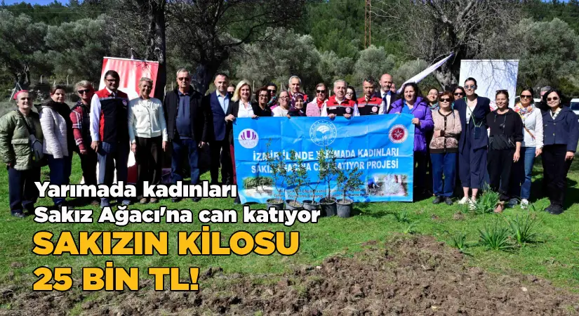 Yarımada Kadınları Sakız Ağacına Can Katıyor