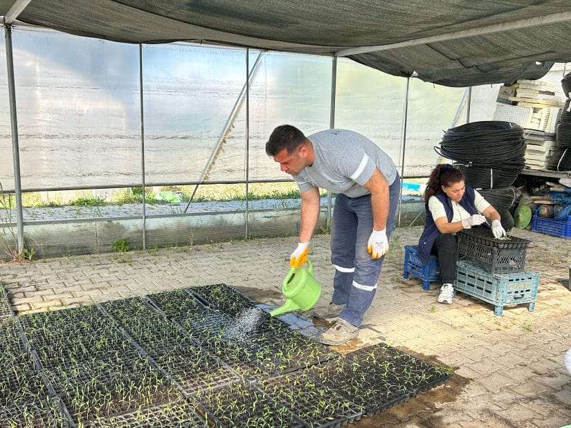 Seferihisar’da Tohum Takas Şenliği