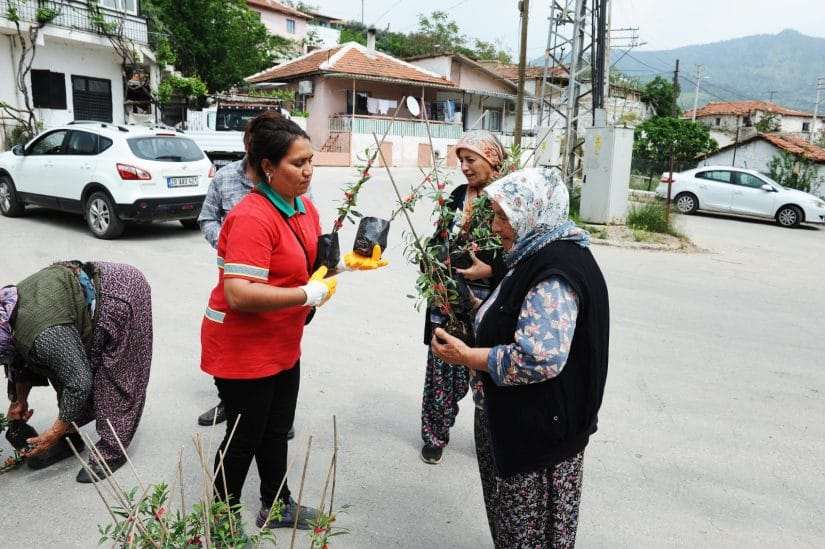 Karşıyaka Belediyesi Sancaklı’da zeytin fidanı dağıttı