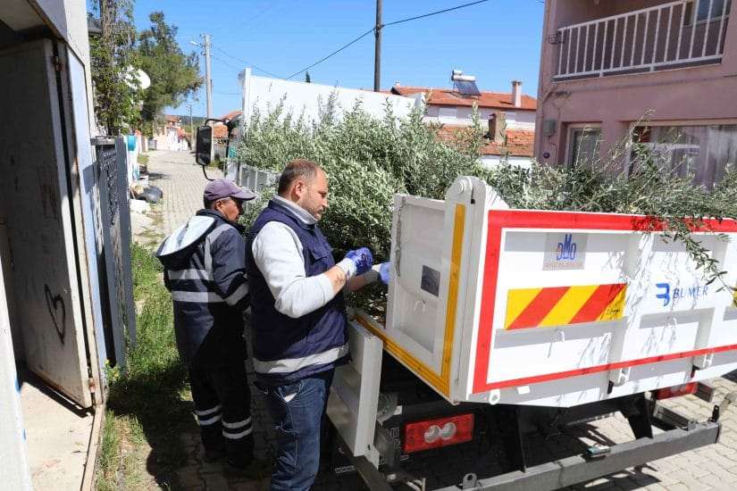 Urla’da zeytin üreticisine 7 bin fidan desteği