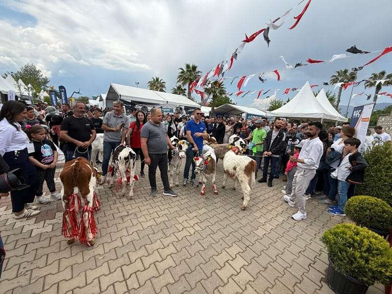 Fuarda buzağılar podyuma çıktı