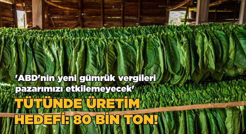 Tütün sektörü bu yıl 80 bin ton üretim hedefi koydu