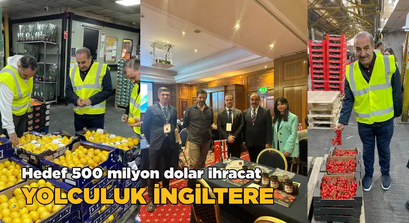 İngiltere’ye ihracat hedefi 500 milyon dolar