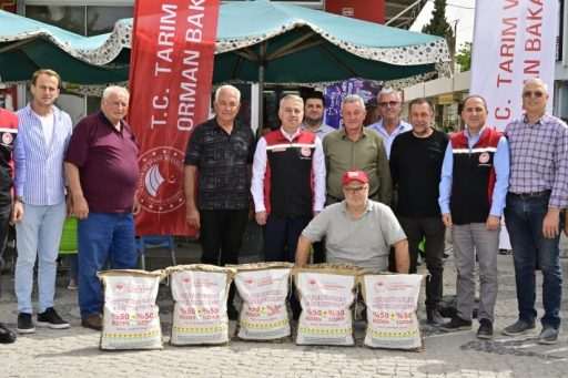 Ayçiçeği üreticilerine yerli tohum desteği