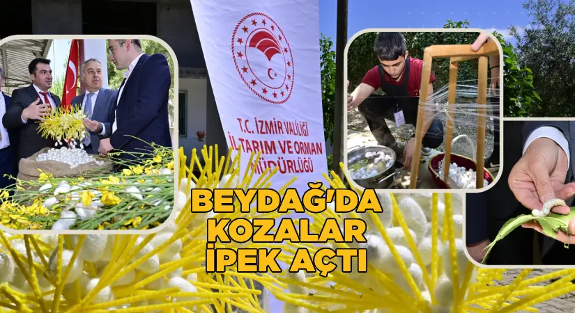 Beydağ’da kozalar ipek açtı