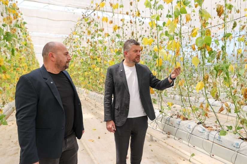 Buca Belediyesi’nin serasına çirkin saldırı!