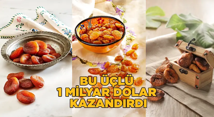 İhracatın gözdeleri; Çekirdeksiz kuru üzüm, kuru kayısı ve kuru incir.. Bu üçlü 1 milyar dolar kazandırdı!