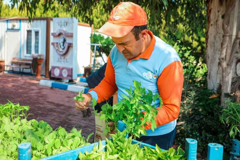 Seferihisar’da Tohum Takas Şenliği