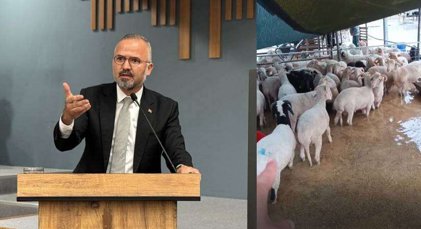 Kurbanlıklar suyun içinde kaldı, AK Partili Yıldız tepki gösterdi