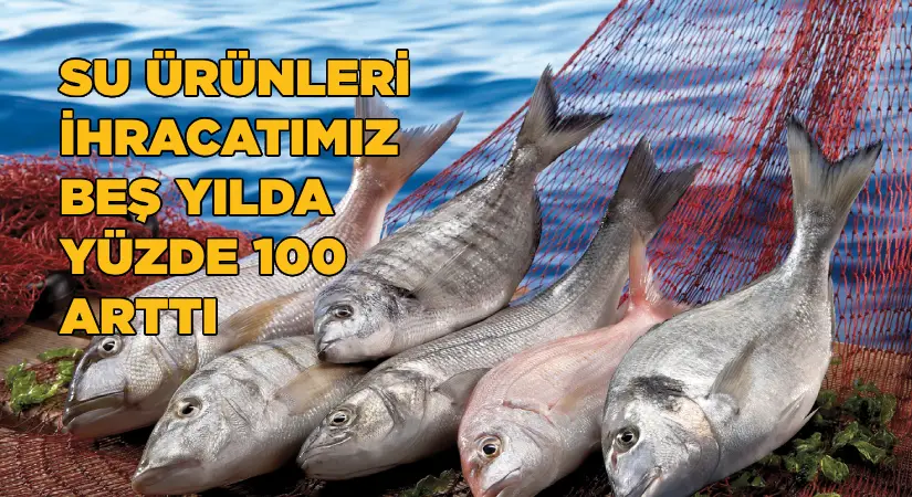 Türkiye’nin su ürünleri ihracatı 5 yılda yüzde 100 arttı