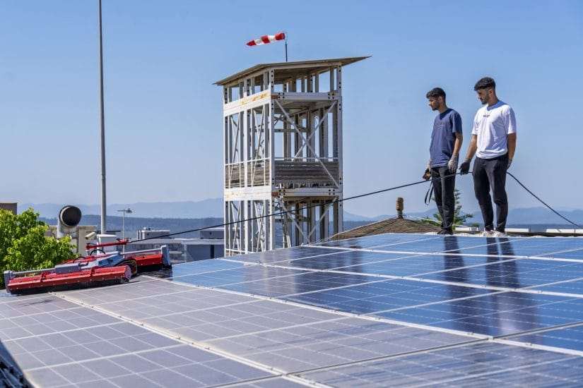 Güneş panellerini robotlar temizliyor