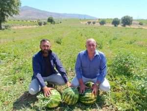 Poyraz Karpuzu hasadında üretici memnun değil
