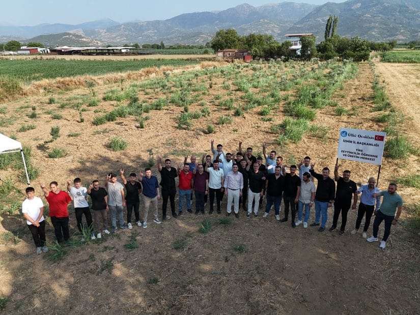 Ülkü Ocakları’ndan Zeytincilik Öğrenme ve Üretim Merkezi