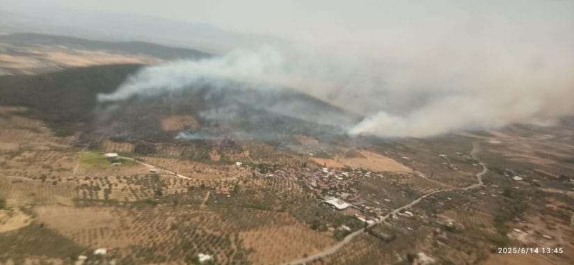 Bugün de Foça’da orman yangını