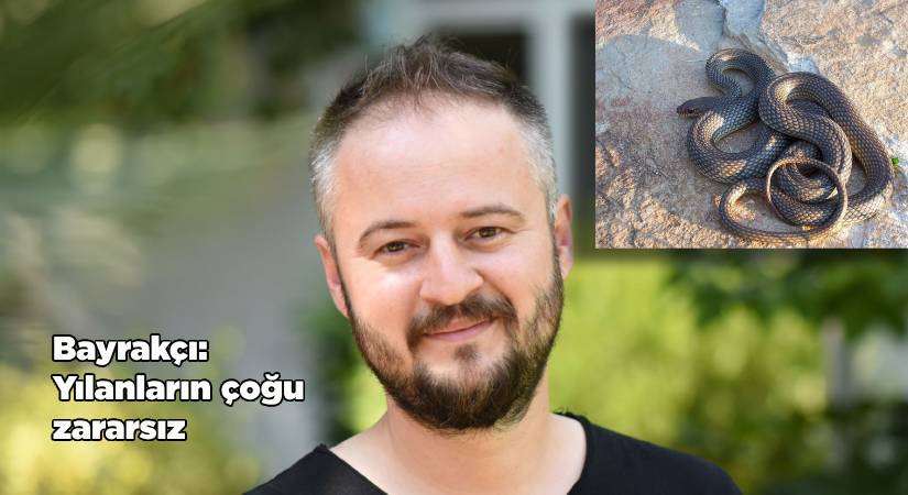 Sıcaklarla Birlikte Yılanlar Görünmeye Başladı