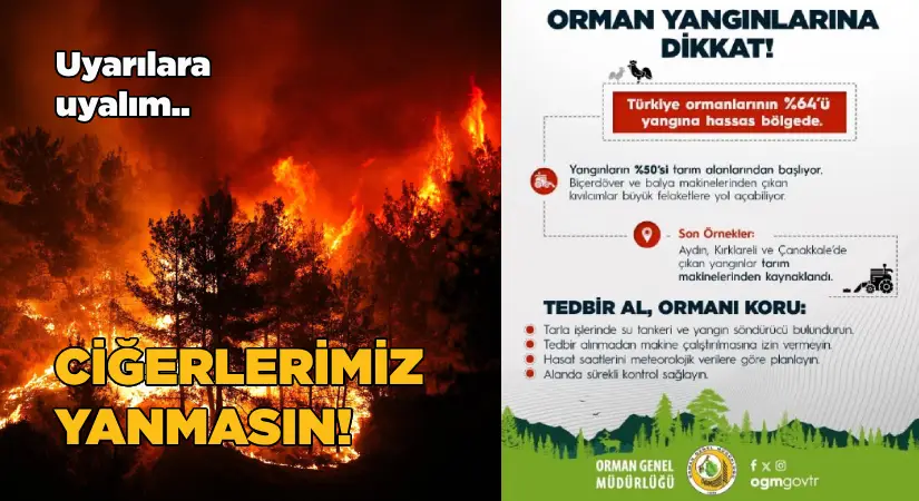 Ormanları Korumada Yeni Dönem: Farkındalık Artıyor, Tedbirler Güçleniyor
