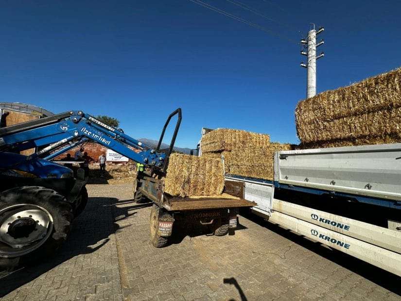 Büyükşehir’den yangın bölgesine yem desteği