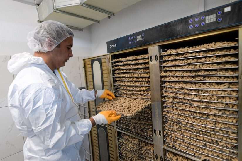 Büyükşehir mama üretiyor