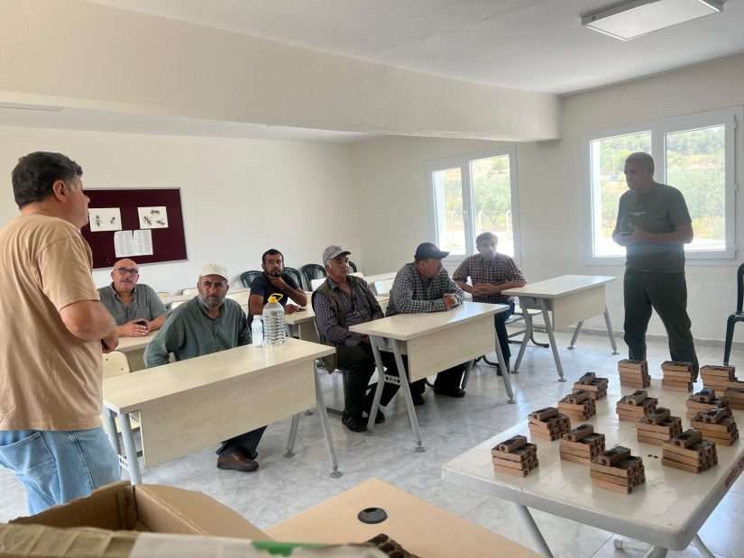 Manisa Büyükşehir’den Arıcılara Ana Arı Desteği