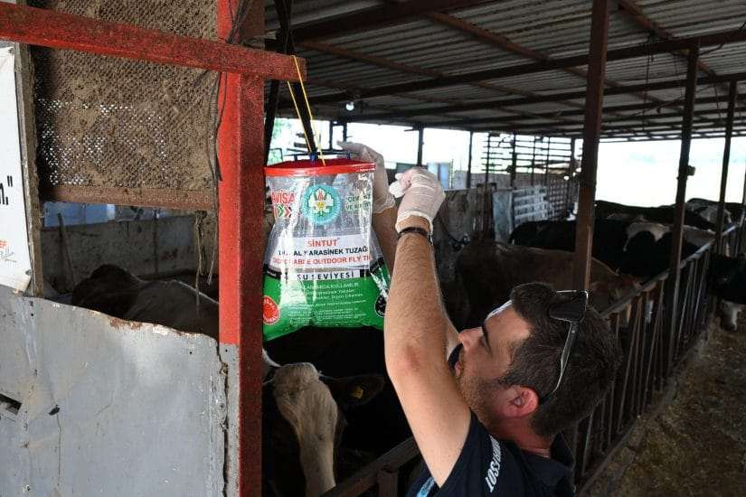 “Girmesin Sinekler, Mutlu Olsun İnekler”