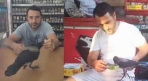 Görenler şaşıp kalıyor! Salihli’de Marketçi ve karganın ilginç dostluğu