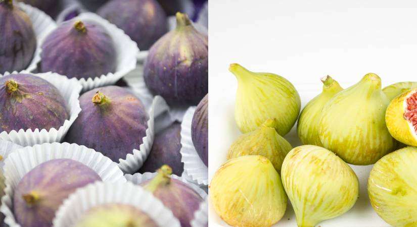 Taze incir ihracatında 2025 yılı hedefi 100 milyon dolar