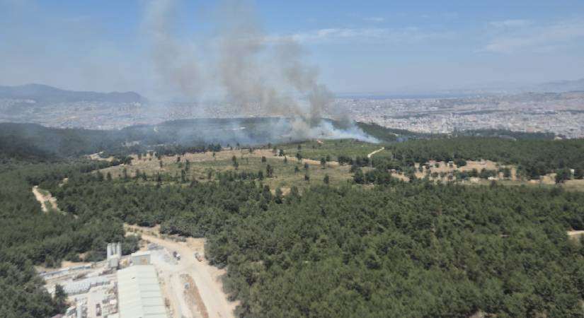 Buca’da orman yangını
