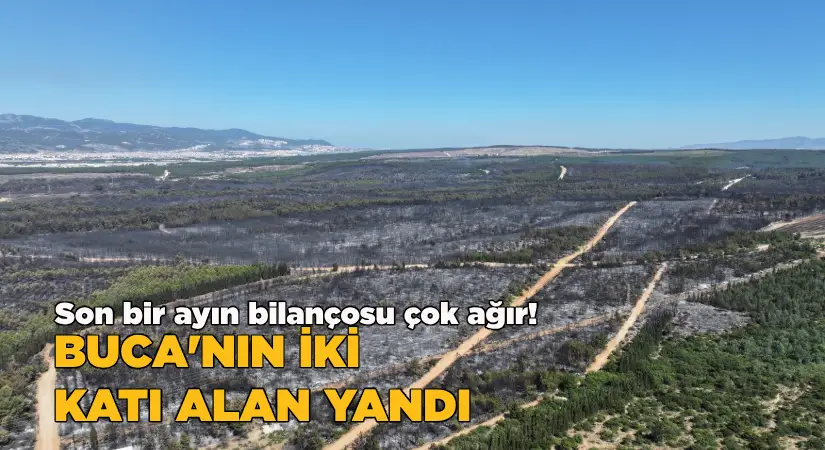 Bir ayın bilançosu çok ağır  Buca’nın iki katı alan yandı