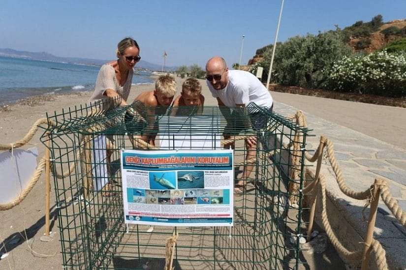 Caretta Caretta yumurtalarına özel koruma!
