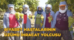 Superior Seedless çeşidi sofralık üzümün ihracat yolculuğu 16 Temmuz’da başladı