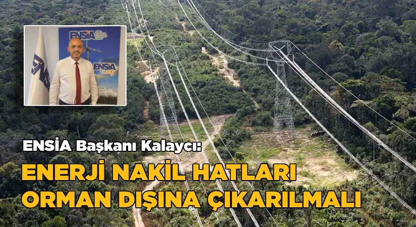 Kalaycı: Enerji nakil hatları süratle orman alanlarının dışına çıkarılmalı