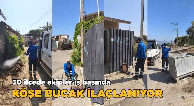 30 ilçede ekipler iş başında; Köşe bucak ilaçlanıyor