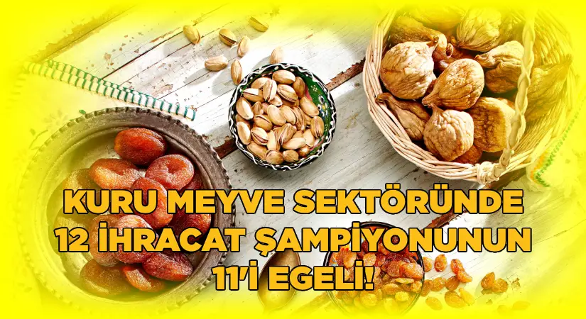 Kuru meyve sektöründe 12 ihracat şampiyonunun 11’i Egeli