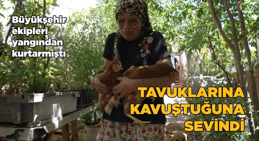 İzmir’deki yangından kurtarılan tavuklarına kavuştu