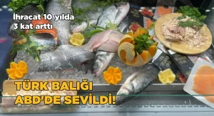 ABD’ye su ürünleri ihracatı 10 yılda 3 kat arttı