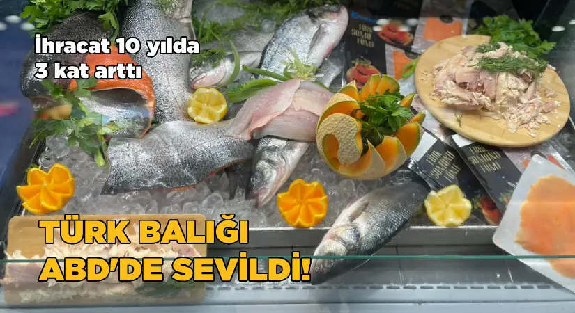 ABD’ye su ürünleri ihracatı 10 yılda 3 kat arttı