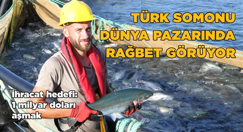 Türk somonunda hedef ihracatı 1 milyar doların üzerine taşımak