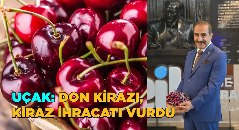 Uçak; “Don kirazı, kiraz ihracatı vurdu”