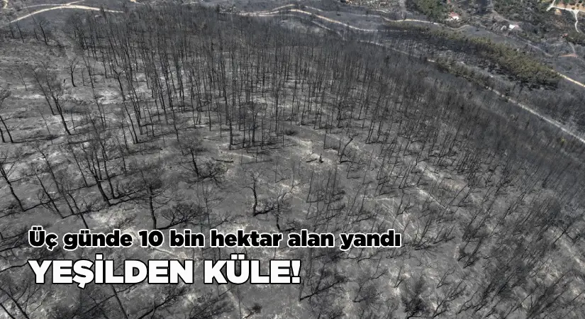 Son üç günde çıkan yangınlar yaklaşık 10 bin hektarlık alanı küle çevirdi