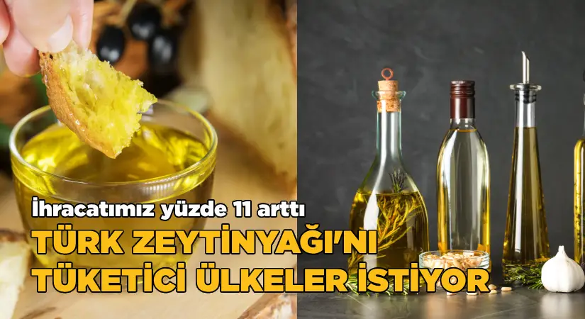 Zeytinyağı ihracatı tüketici ülkelere arttı
