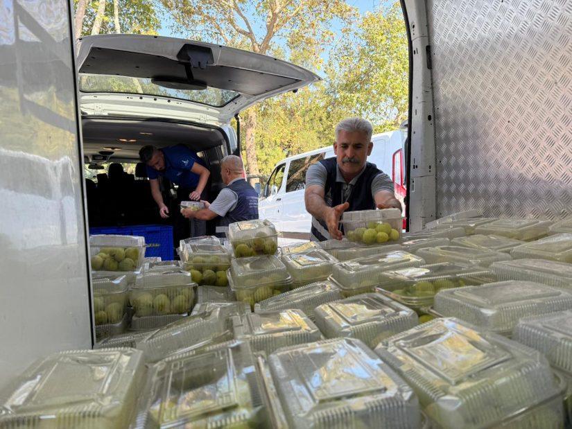 Büyükşehir 2 ton inciri ücretsiz dağıttı