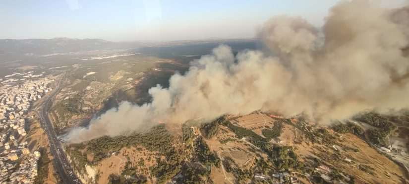 Buca’daki orman yangınında korku dolu anlar
