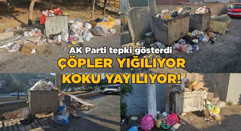 Çöpler yığılıyor, koku yayılıyor